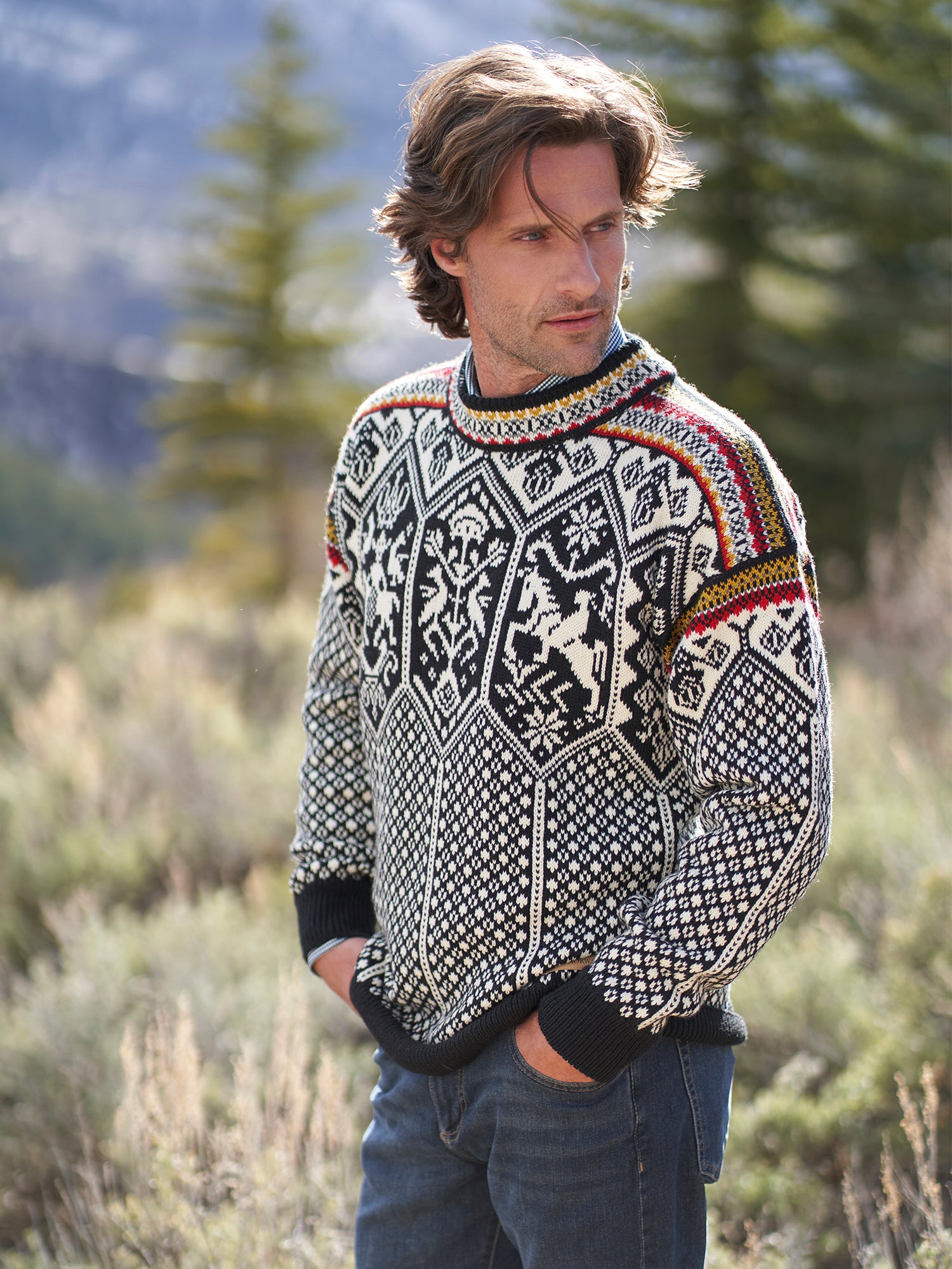 DALE OF NORWAY, 1994 Masculine Wool Sweater