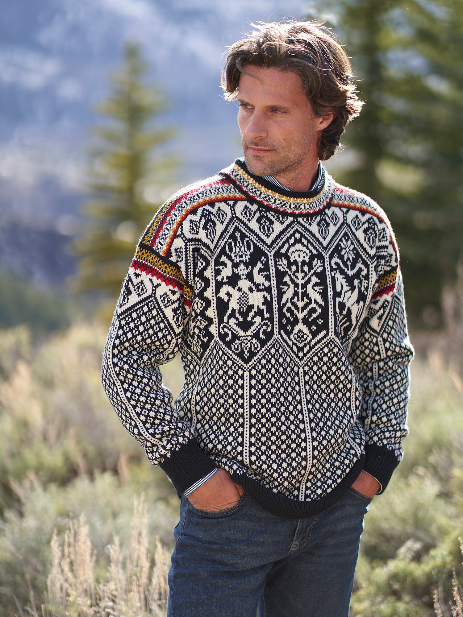 DALE OF NORWAY, 1994 Masculine Wool Sweater